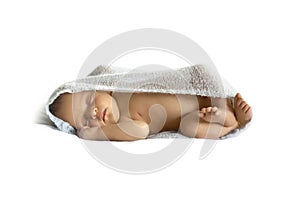 Newborn baby in a cocoon on a white background