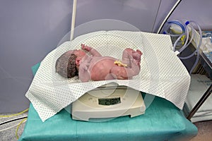 Newborn baby crying in hospital operating room