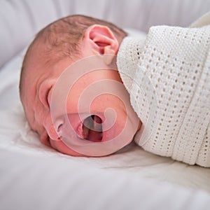 A newborn baby is crying swaddled on the bed. Child is a boy in a cocoon on a cot