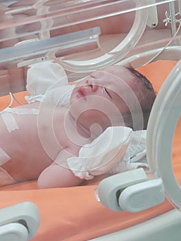 Newborn baby cute sleeping in hospital. Little innocent new infant child in first day of life.