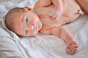 A newborn baby in a diaper is lying naked on the bed. Child boy in a cocoon on a cot