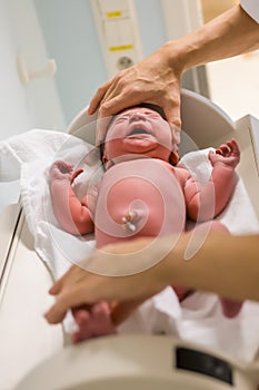 A newborn baby is examinate in hospital just after childbirth. Length measurement.