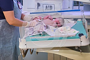 A newborn baby is examined by a doctor after childbirth. Checking the baby after birth on the Apgar scale