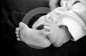 Newborn Baby Feet