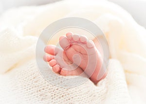 Newborn baby feet