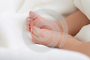 Newborn baby feet