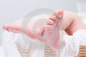 Newborn baby feet