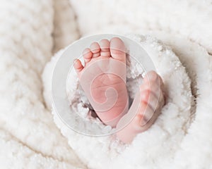 Newborn baby feet covered in plush lining blanket