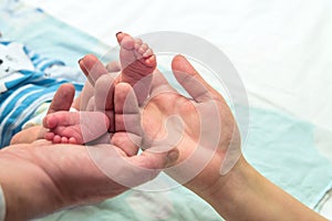 Newborn baby feet cupped into mothers hands