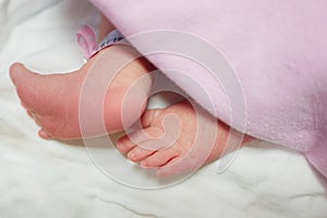 Newborn baby feet with dry skin on white background