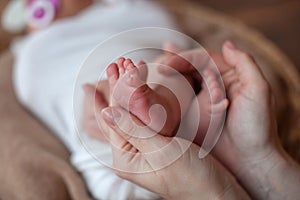 Newborn baby feet in father hands.