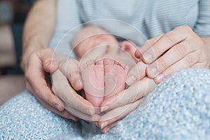 Newborn baby feet in father and mother hands