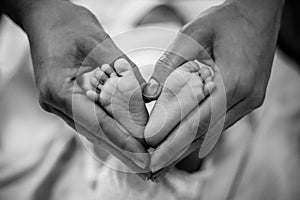 Newborn baby feet in its mother& x27;s hands shaped like a heart. Mother showing her love and affection. Black and white photo