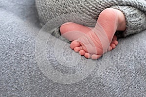 Newborn baby feet. Motherhood concept. Mother day. Copy space. Newborn baby feet. Motherhood concept. Mother day. Copy space. photo