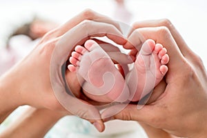 Newborn baby feet on mom and dad hands, shape like a lovely heart. happy family concept