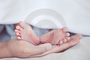 Newborn baby feet on mother hand