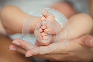 Newborn baby feet in mother hands.