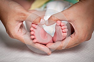 Newborn baby feet in mother hands