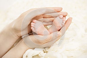 Newborn baby feet in mother hands. New born and parent