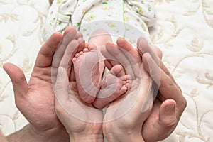 Newborn baby feet parents holding in hands. New born and Love concept.