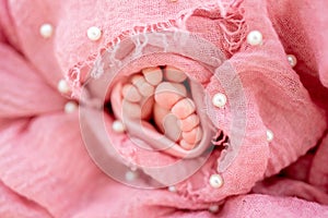 Newborn baby feet portrait