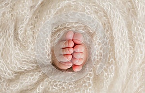 Newborn baby feet