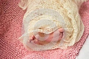 Newborn baby feet wrapped in wool blanket.