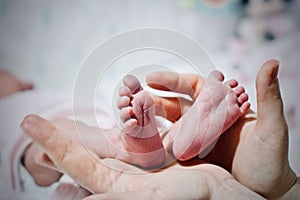 Newborn baby feets