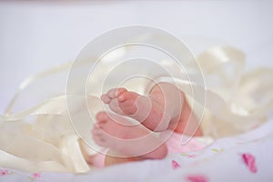 Newborn baby feets on a light background