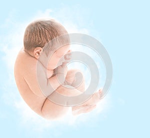 Newborn Baby Fetus, New Born Child Sleep in Embryo Pose, Unborn photo