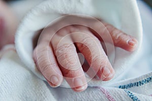 Newborn Baby fingers