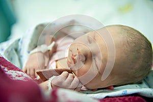 A newborn baby on the first day of its birth in the maternity hospital