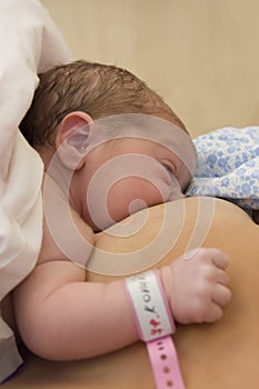 Newborn baby and first feeding