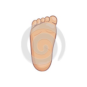 Newborn baby foot sole, bottom view. Tiny plump foot with cute heel and toes. Realistic caucasian skin colours. Vector