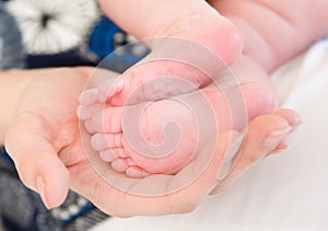 Newborn baby foots in mothers hands photo