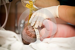 Newborn baby girl