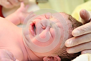 Newborn Baby Girl photo