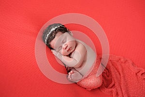 Newborn Baby Girl on a Coral Colored Background