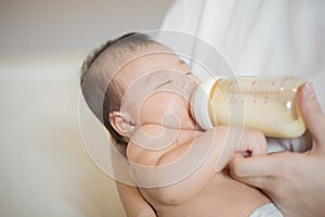 Newborn baby girl is drinking milk by  her mother