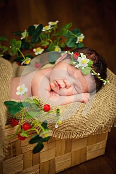 Newborn baby girl has sweet dreams in strawberries