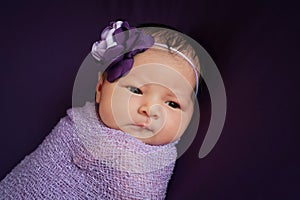 Newborn Baby Girl in Lavender and Purple