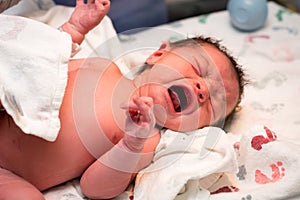 Newborn baby girl moments after being born