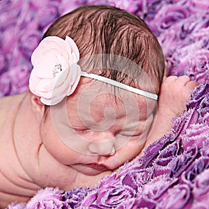 Newborn Baby Girl with Pink Flower