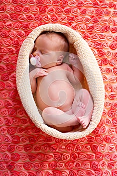 Newborn Baby Girl with Red Flowers