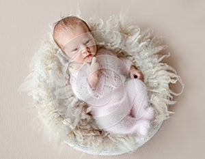 Newborn baby girl studio portrait