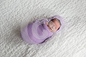 Newborn Baby Girl Swaddled and Wearing a Lavender Bonnet