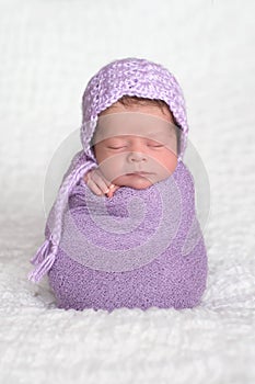 Newborn Baby Girl Swaddled and Wearing a Lavender Bonnet