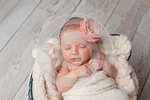 Newborn Baby Girl Wearing a Flower Headband