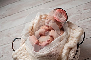 Newborn Baby Girl Wearing a Flower Headband