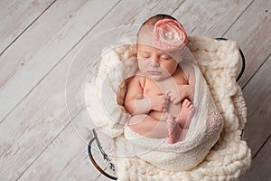 Newborn Baby Girl Wearing a Flower Headband